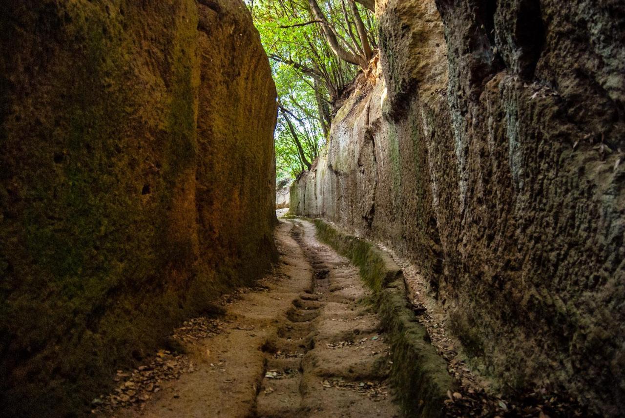 La Toscana In Casa Villa Sorano  Dış mekan fotoğraf